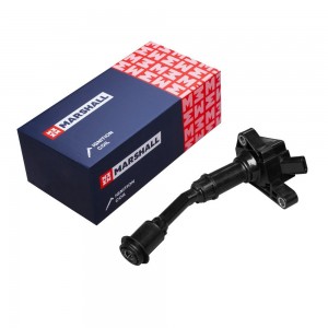 Катушка зажигания Ford Kuga 13- / Focus 10- (MGN2250) MGN2250 MARSHALL