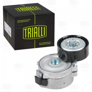 Ролик привод. ремня для а.м Ford Mondeo IV (07-),Kuga (13-) 2.0d,2.2d (с натяж.  CM5399 TRIALLI