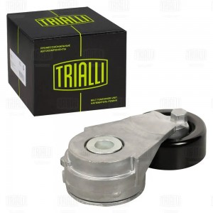 Ролик привод. ремня Nissan Juke (10-) 1.6T (с натяж. мех.) (CM 5482) CM5482 TRIALLI