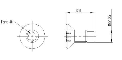 RENAULT LAGUNA (1999-2001) M8X17X1,25/ TORX 40 7703004176 RENAULT