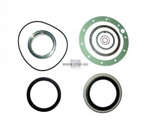 Комплект прокладок ступицы колеса 4.91024 DIESEL TECHNIC