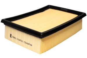 Фильтр воздушный B13CR0231 B13CR0231 CWORKS