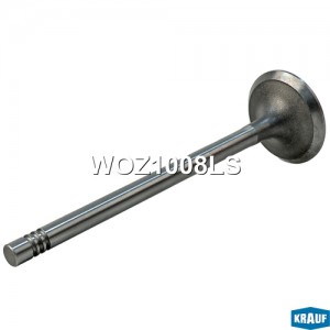 Клапан выпускной WOZ1008LS WOZ1008LS KRAUF