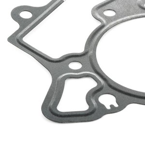 Прокладка помпы 70-36276-00 VICTOR REINZ