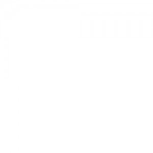 Насос топливный 11271696501 VIKA