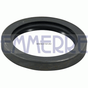 Сальник ступицы [передний NBR 75x100x13 CS] 101403 EMMERRE