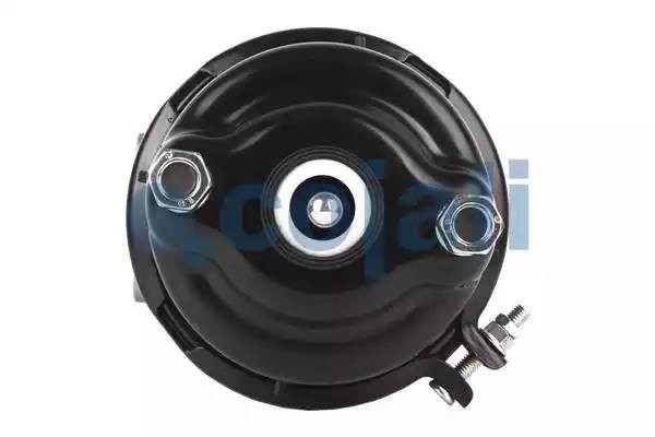 Энергоаккумулятор (дисковый тормоз) прав. TYPE 24/24 2251513 COJALI