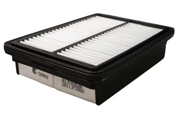 Фильтр воздушный B13CR0038 B13CR0038 CWORKS