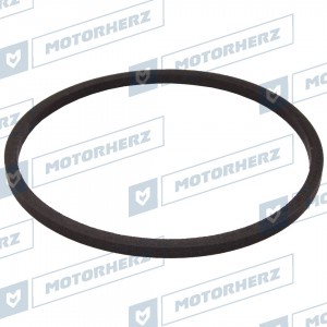 HT0142 Motorherz Теф.кольцо HT0142 MOTORHERZ