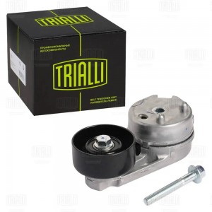 Ролик привод. ремня Land Rover Discovery IV (09-) 2.7d/3.0d (с натяж.мех.) с акт CM 5884 TRIALLI