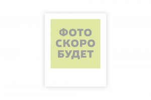 Рассеиватель фонаря заднего КАМАЗ 5490 LED  (белая полоса вверху и в низу) SP4200.0131 MARSHALL