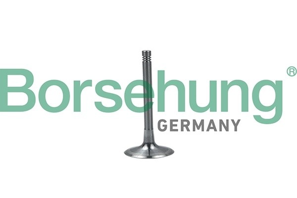 клапан впускной! 33.85x6x104\ Audi A3 2.0 AXW 03> B19028 BORSEHUNG