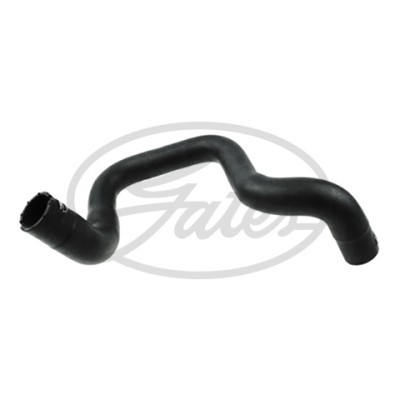 FORD FOCUS I (1998-2004) 051911 GATES