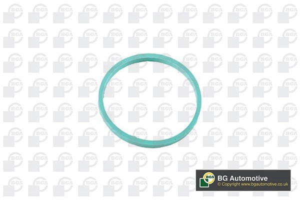 Прокладка, впускной коллектор RW4353 RW4353 BG AUTOMOTIVE