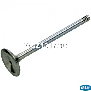 Клапан выпускной WOZ1017GG WOZ1017GG KRAUF