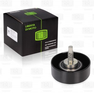 Ролик генер. ремня Ford Focus (98-) CM1005 CM 1005 TRIALLI