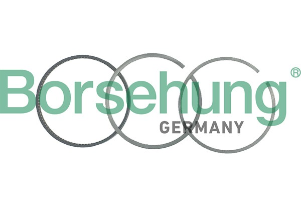 кольца поршневые! d81x1x1.2x2 STD (1)\ Audi A3, VW Golf 1.6 AVU 00-02 B19035 BORSEHUNG