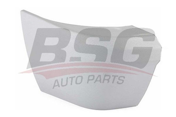 Накладка бампера FORD Tourneo Connect (02-) заднего левая BSG BSG30920010 BSG