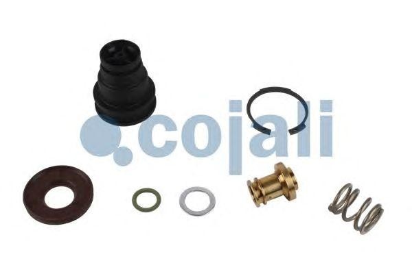 РМК блока подготовки воздуха 6012290 COJALI