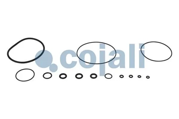 Р/к модуля ebs-1 6014037 COJALI