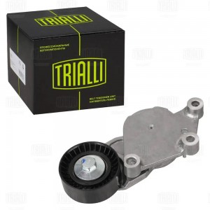 Ролик привод. ремня Ford Focus II (05-) 1.5d/1.6d (c 2008) (с натяж. мех.) (CM 5 CM5729 TRIALLI