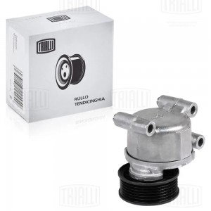 Ролик привод. ремня Ford Focus II (05-) 1.8i/2.0i (с натяж. мех.) (CMS 1006) CMS 1006 TRIALLI