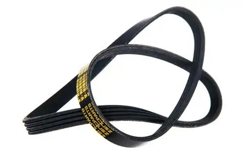 ремень поликлиновой! 4PK1041 STRALIS TRAKKER F3BE Z23493 ZENTPARTS