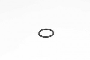 Прокладка RENAULT Kangoo,Megane,Clio (00-) термостата BSG BSG75116008 BSG