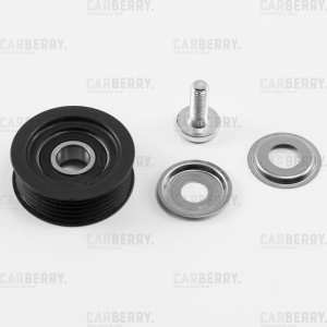 HYUNDAI/KIA 55CA385 CARBERRY