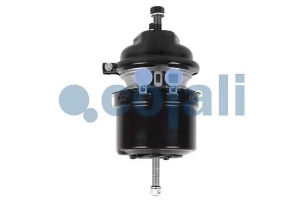 энергоаккумулятор! T16 дискового тормоза\ MAN 2251532 COJALI