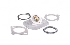 Термостат TH03282G2 GATES