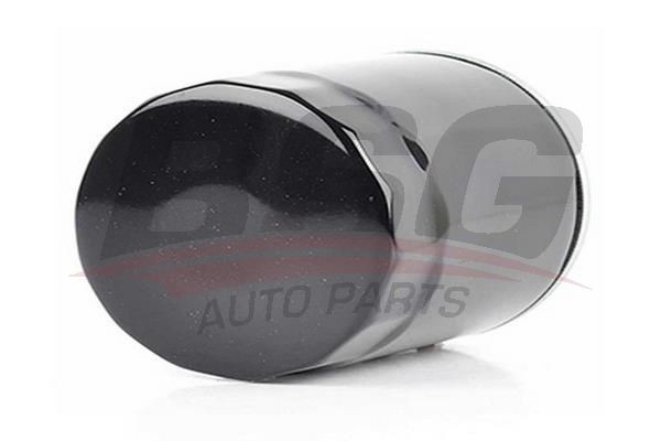 Фильтр топливный MERCEDES Sprinter (00-06) BSG BSG60130005 BSG