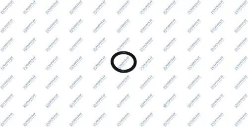 Кольцо уплотнительное КПП  5шт K2002524 KACMAZLAR