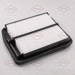 HONDA ODYSSEY III (2003-2008) TBC1117 TATSUMI