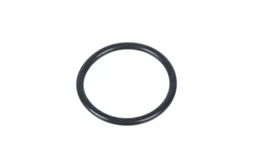 кольцо уплотнительное регулятора фаз газораспредел.!(р)11367506178 BMW E81/E87/E Z17647 ZENTPARTS