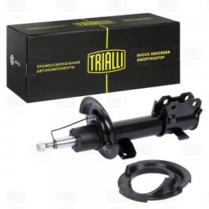 Амортизатор Exeed TXL (19-) (стойка) пер. прав. (AG 30306) AG 30306 TRIALLI