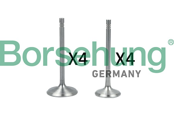 к-кт клапанов! впуск./выпуск. 8шт. 39.5x6x94\ VW Passat B5 1.6 00> B18146 BORSEHUNG
