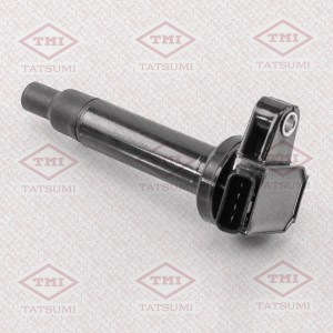 TOYOTA 4 RUNNER/ LAND CRUISER (100) THG1024 TATSUMI