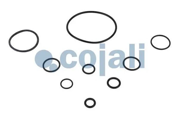 РМК ПГУ сцепления MB аналог Wabco 9700519742 6032105 COJALI