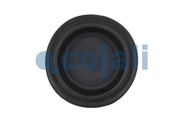Диафрагма энергоаккумулятора T20 6001114 COJALI