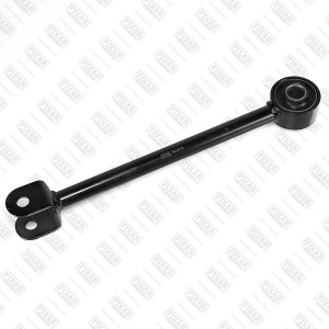 FQ1019 Рычаг подвески задний нижний HYUNDAI Santa Fe 06 FQ1019 FIXAR