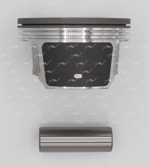 PN-54041 ПОРШЕНЬ 0.50 FORD/MAZDA 2.0 16V CJBA/CJBB PN-54041 AUTOWELT