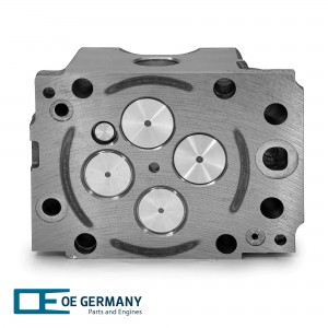 ГБЦ MB OM 501 LA/502 LA с клапанами 010129501002 OE GERMANY