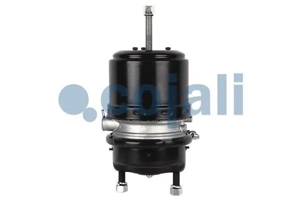 Энергоаккумулятор (дисковый тормоз) прав. TYPE 24/24 2251513 COJALI