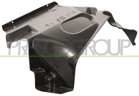 подкрылок передний! правый\ Iveco Daily III 29L/35S FT9273613 PRASCO GROUP