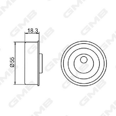 Ролик ГРМ опорный Hyundai Sonata (EF,Tagaz), Santa Fe (SM) (00-) GT10072 GT10072 GMB