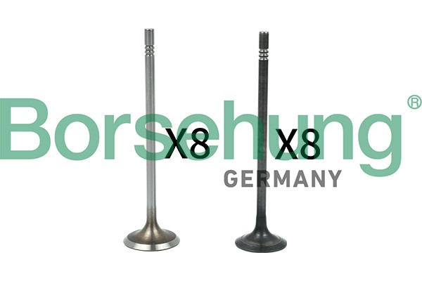 Клапан VW Golf,Polo AUDI A3,A4 впускной/выпускной комплект 16шт. BORSEHUNG B18631 BORSEHUNG