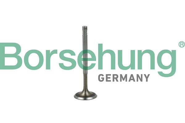 клапан впускной! 29.5x6x100.9\ VW Bora/Golf/Polo/Caddy 1.4/1.6 16V 97> B19019 BORSEHUNG