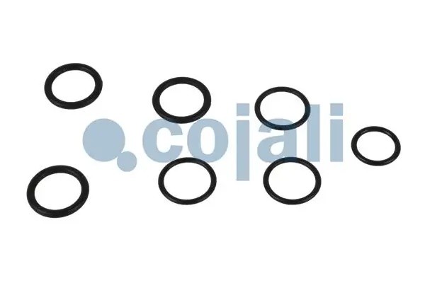 Р/к 4-х контр клапана [пркладки,пружина,упл.кольца} 6014114 COJALI