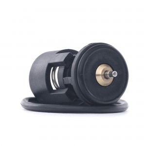 термостат!\ VW Polo/Golf, Audi A2 1.0-1.6 91> 11 146 007 11 JP GROUP